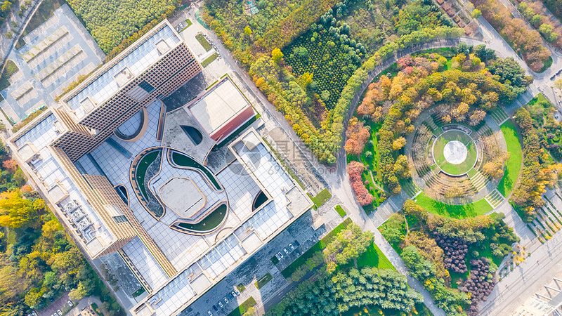 TVS二极管：揭秘其稳定电压保护原理及选购要点