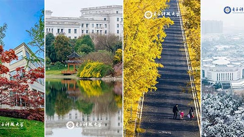 双面线路板选购攻略：如何避免踩坑**