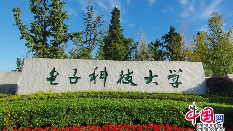 N4007二极管耐压值揭秘：关键参数背后的技术考量**
